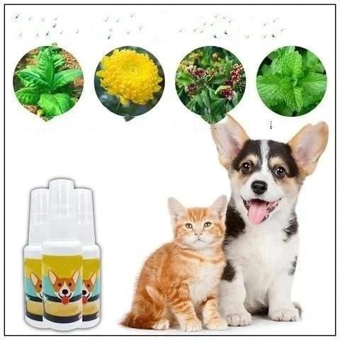 PawPerfect Potty Trainer: Natural Spray for Dogs & Cats (Pack of 2)