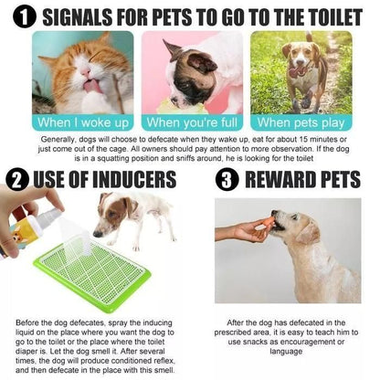 PawPerfect Potty Trainer: Natural Spray for Dogs & Cats (Pack of 2)