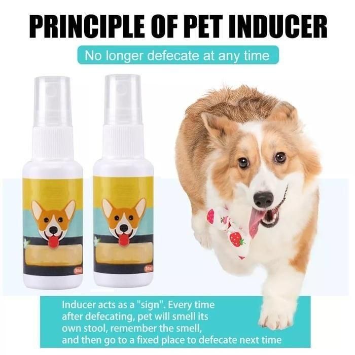 PawPerfect Potty Trainer: Natural Spray for Dogs & Cats (Pack of 2)