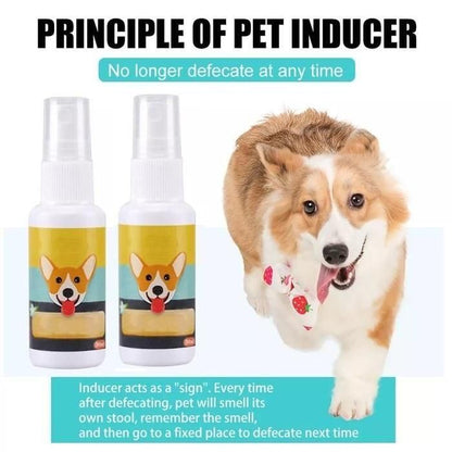 PawPerfect Potty Trainer: Natural Spray for Dogs & Cats (Pack of 2)