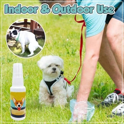 PawPerfect Potty Trainer: Natural Spray for Dogs & Cats (Pack of 2)